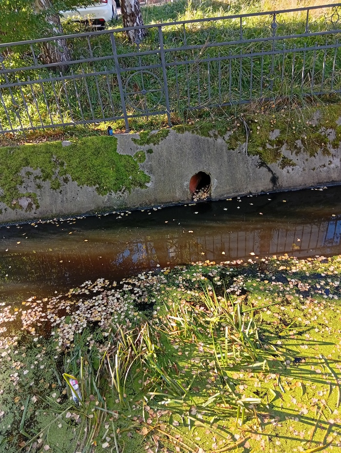 Вот тут видна пластиковая труба из которой течёт вода странного вида в ручей.