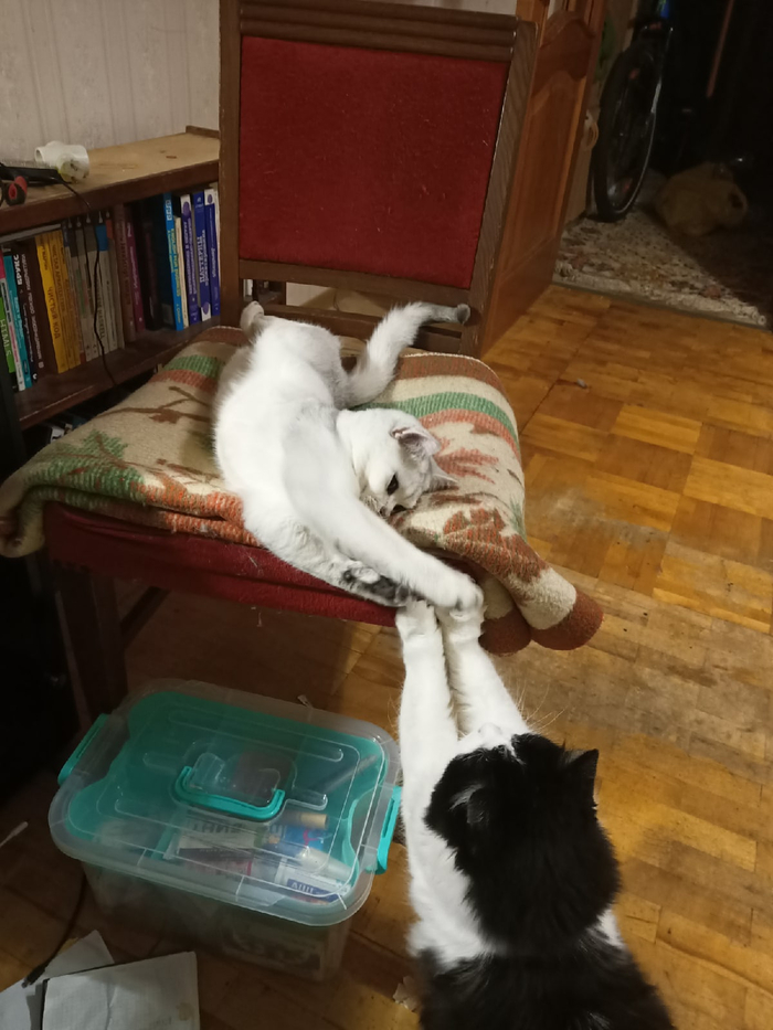 ����� �� ���� ���������� ������������
