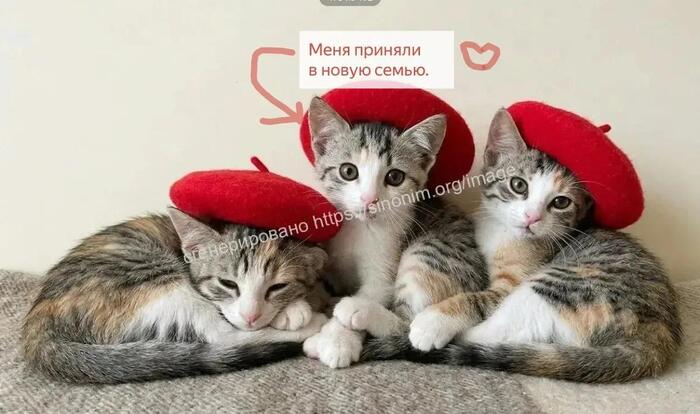В добрые руки