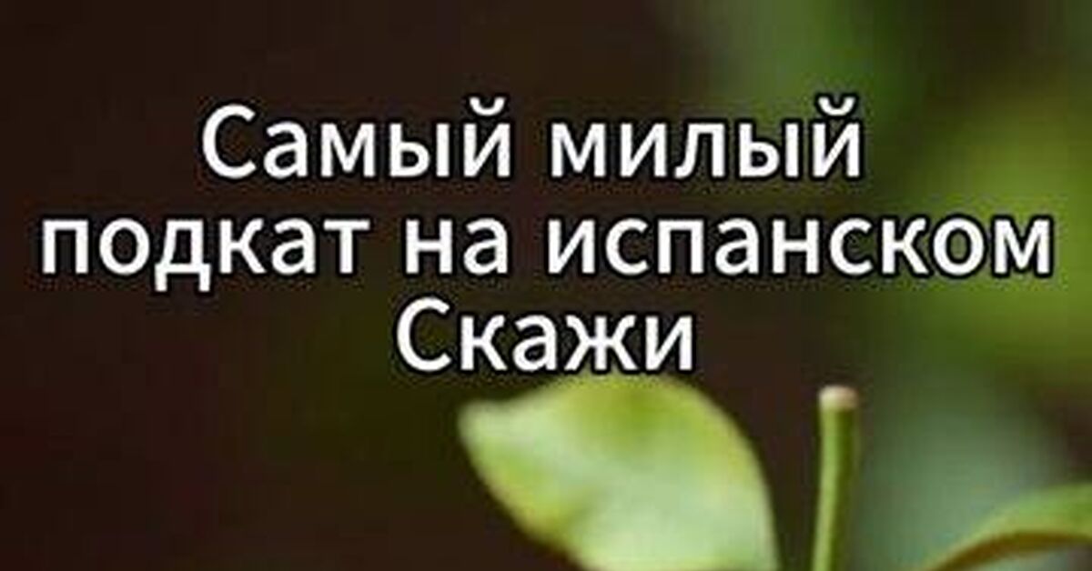 Самый милый подкат на испанском: почему они ищут свою «половинку апельсина» - Моё, Испания, Испанский язык, Сленг, Любовь, Отношения, Факты, Культура, Лайфхак, Путешествия, Видео, Rutube, Короткие видео