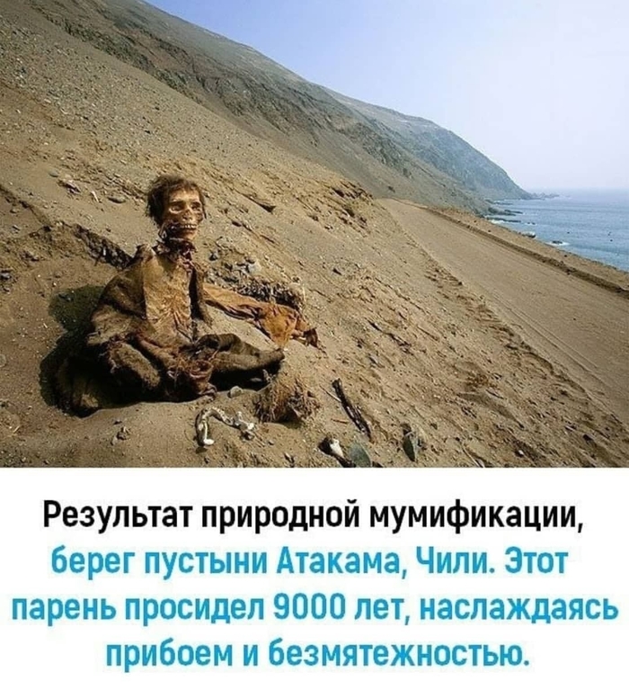 Палиндром:
