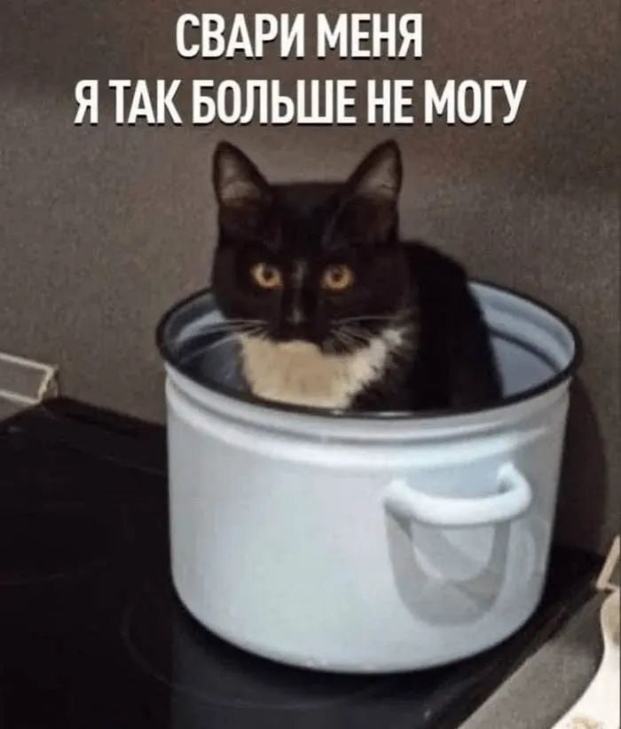 НМИЦ им. Бехтерева или частная клиника?