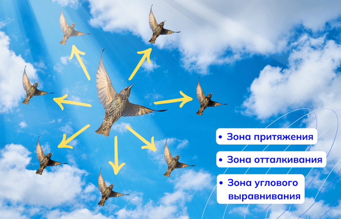 Каждая птица старается держаться в одной линии с соседями слева и справа, приблизиться к птице впереди себя и оторваться от птицы позади.