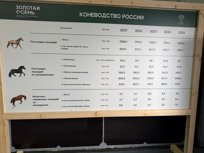 Взято из <a href="https://pikabu.ru/story/sostoyanie_konevodstva_v_rossii_14405027?u=https%3A%2F%2Fvk.ru%2Fgzkfomina&t=%D0%93%D0%91%D0%A3%20%D0%92%D0%9E%20%22%D0%93%D0%97%D0%9A%20%D0%B8%D0%BC.%20%D0%A4%D0%BE%D0%BC%D0%B8%D0%BD%D0%B0&h=fc234f4d6b1227ba3582dbe0dcedc4ed9264440c" title="https://vk.ru/gzkfomina" target="_blank" rel="nofollow noopener">ГБУ ВО "ГЗК им. Фомина</a>"