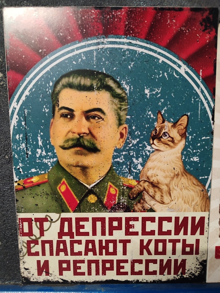 Сталин и котики спасут мир