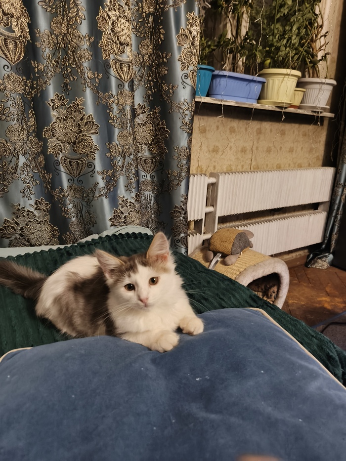 Я снимаю боты