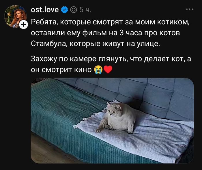 Почему без попкорна то