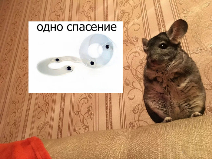 �� � ������������ �� ������, ���������� ������ �����. ��� ����������� �������� ��������� ������ �������� � �������� �������� ��������, � ��� ���� ������� ���������� ��������� ���������������.