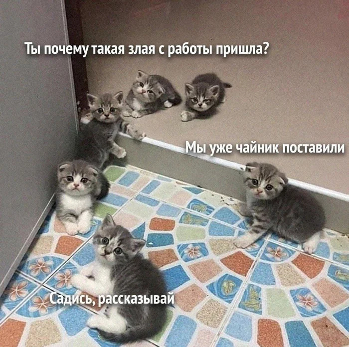 ����� ���� ���� ����