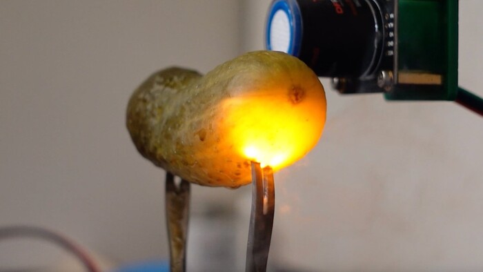 Тот самый опыт с огурцом, кадр из новости ScienceAlert