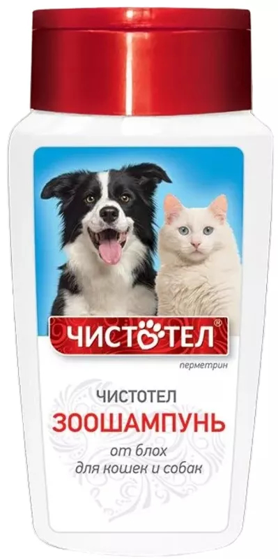 Смертельный яд с картинкой котика: как производители ветпрепаратов зарабатывают на гибели наших питомцев