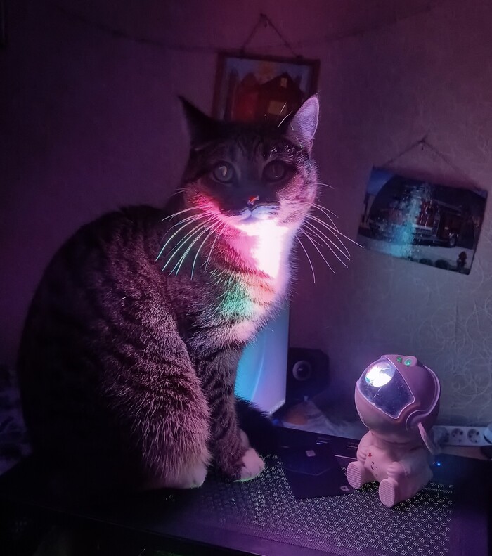 Космическая котолампа
