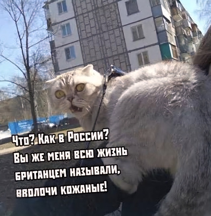 Ответ на пост «Немного юмора в ленту...»