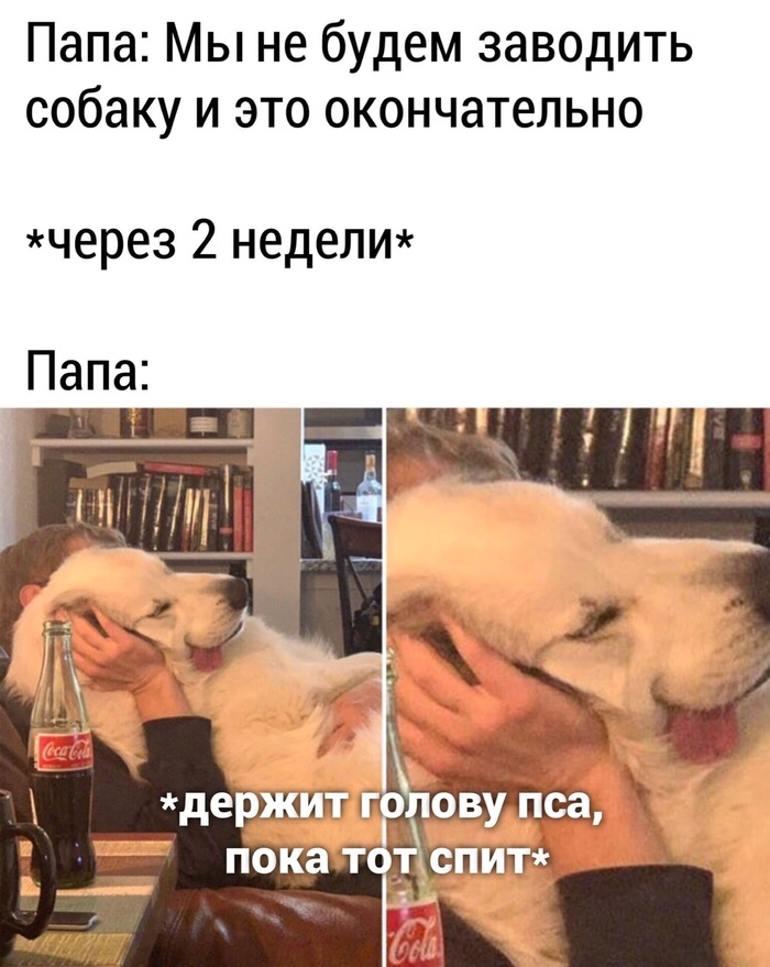 Отец против, чтобы заводили собаку, отец и собака спустя время лучшие друзья, почему так