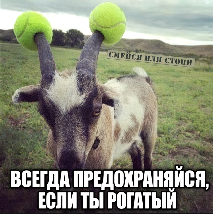 Всегда предохраняйся, если ты рогатый
