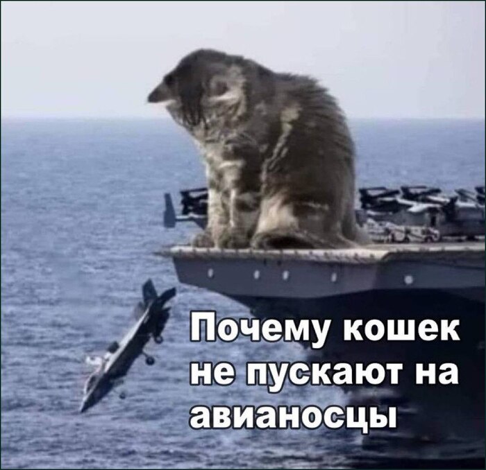 Вот почему