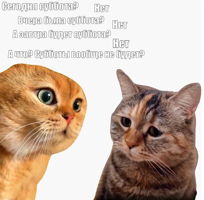 ������� �� �����