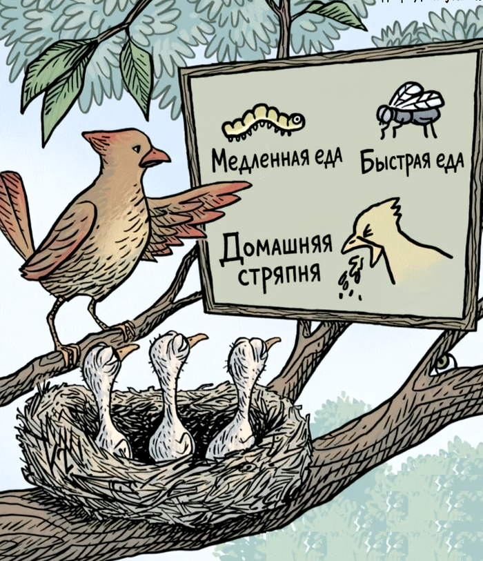 Медленная еда, быстрая еда, домашняя стряпня