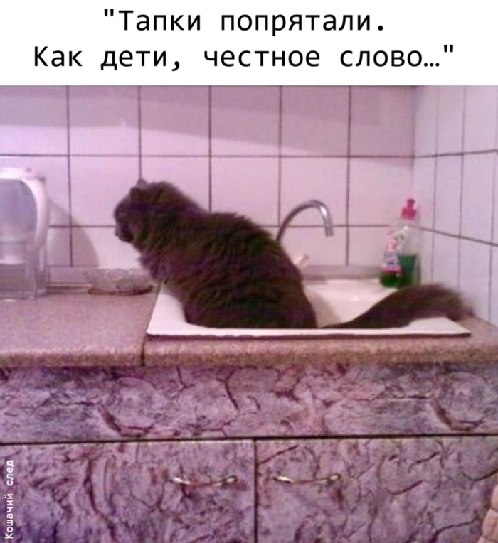 ����� ���������