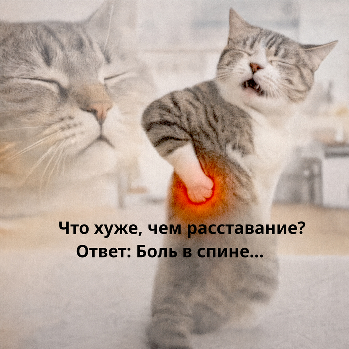 ��� ����, ��� �����������?