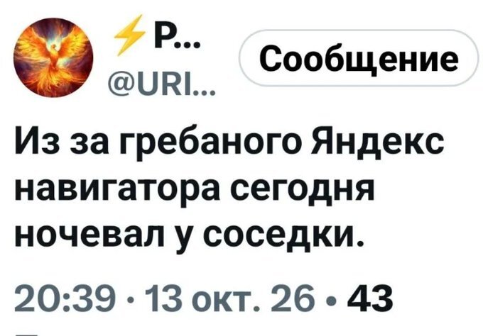 Иногда навигатор приносит пользу