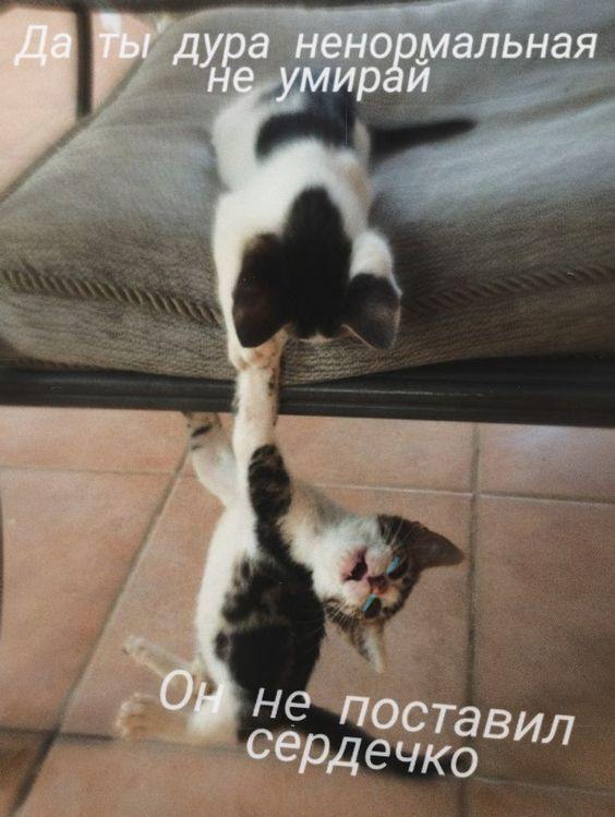��������� �������