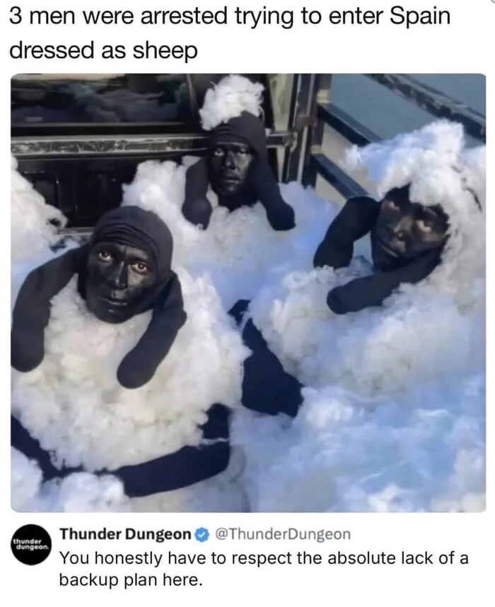 Бараны