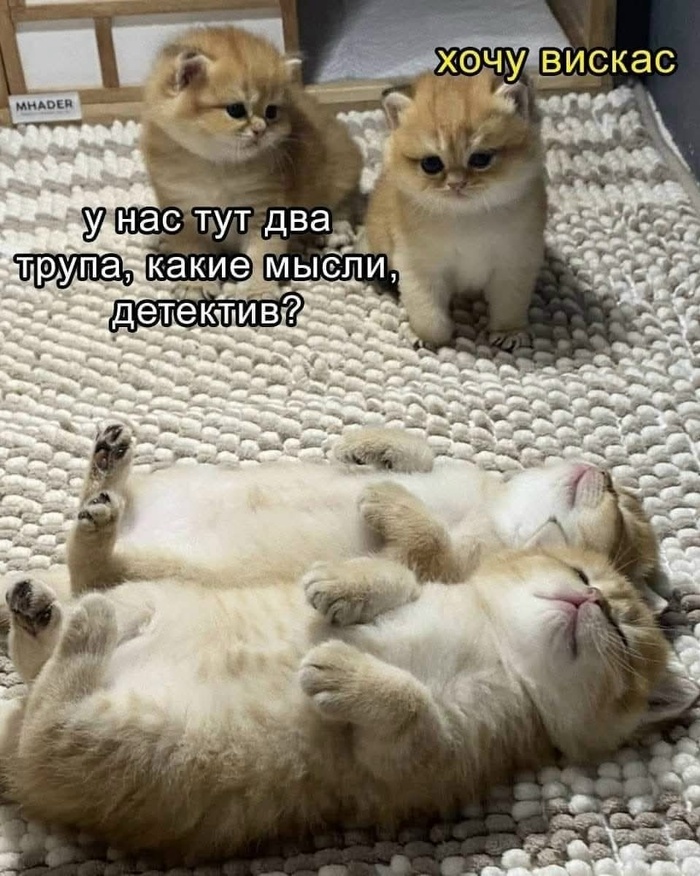 �������������)