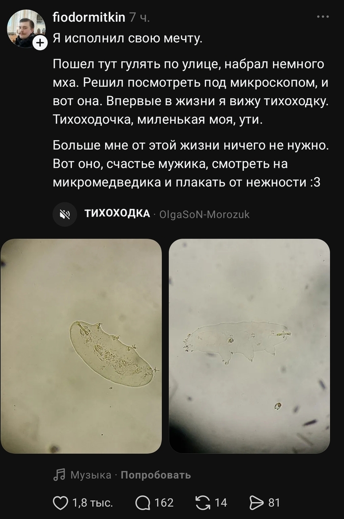 И чувствуется, что человек счастлив