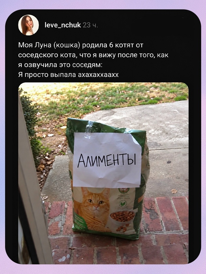 ��������...