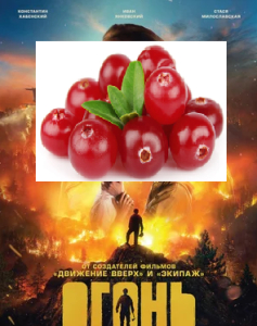 ����: ����� � ������������