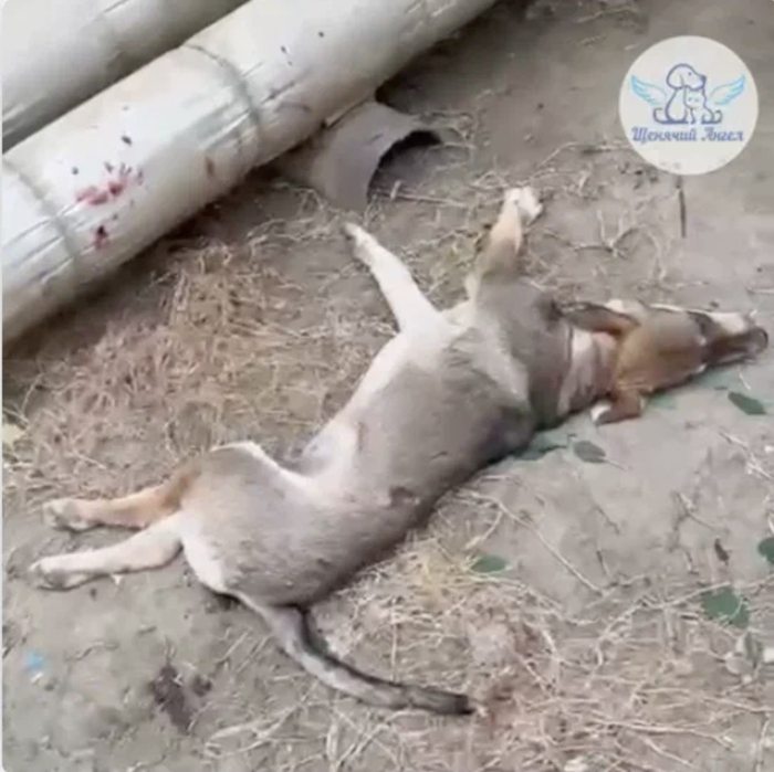 Малыша нашли там же во дворе