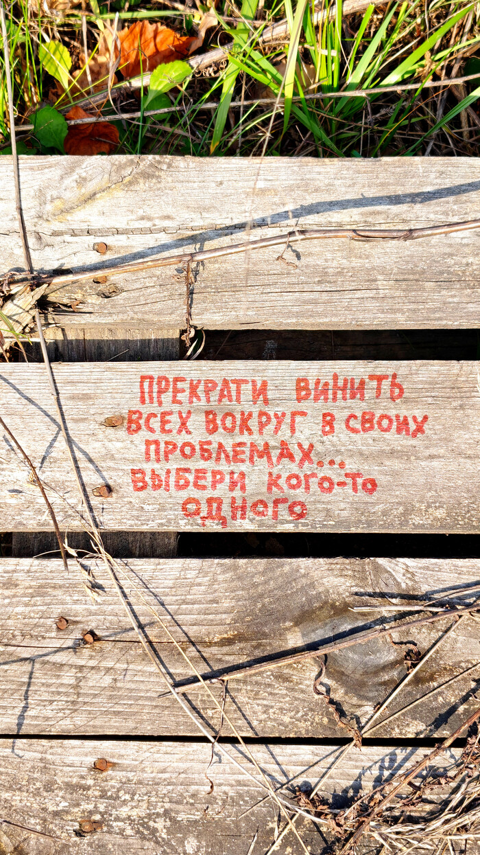 Прекрати винить всех вокруг