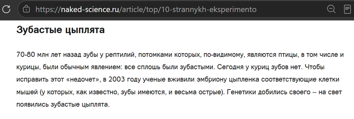 Цыплята