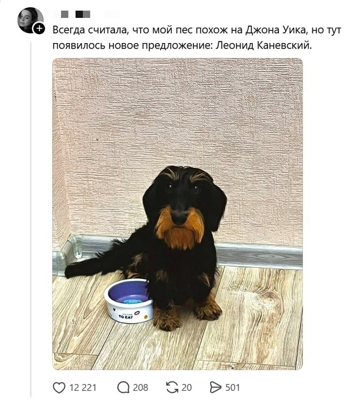Пес