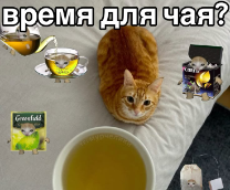 ������ � ��������������