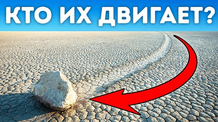 ����� ���� ������ �� ������� � �� ������ ��� ����� ������ ������