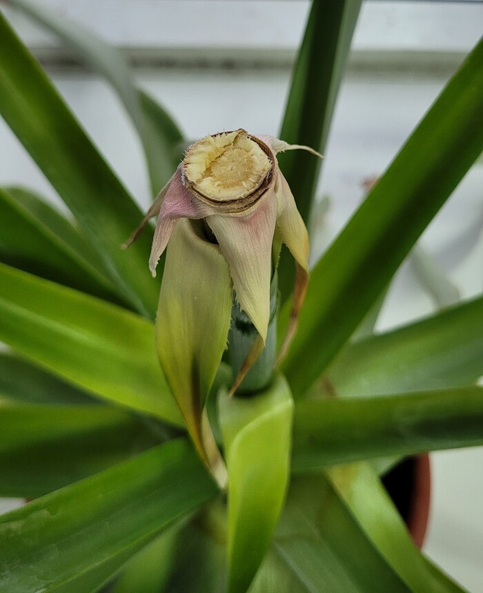 ��� ������� ������� ����, �� ������ ���������.