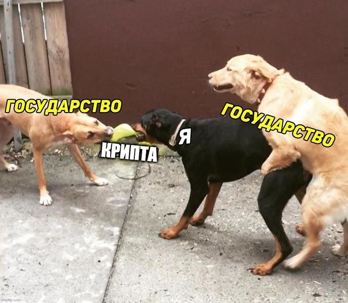 � �����, �������� �����-�� �����