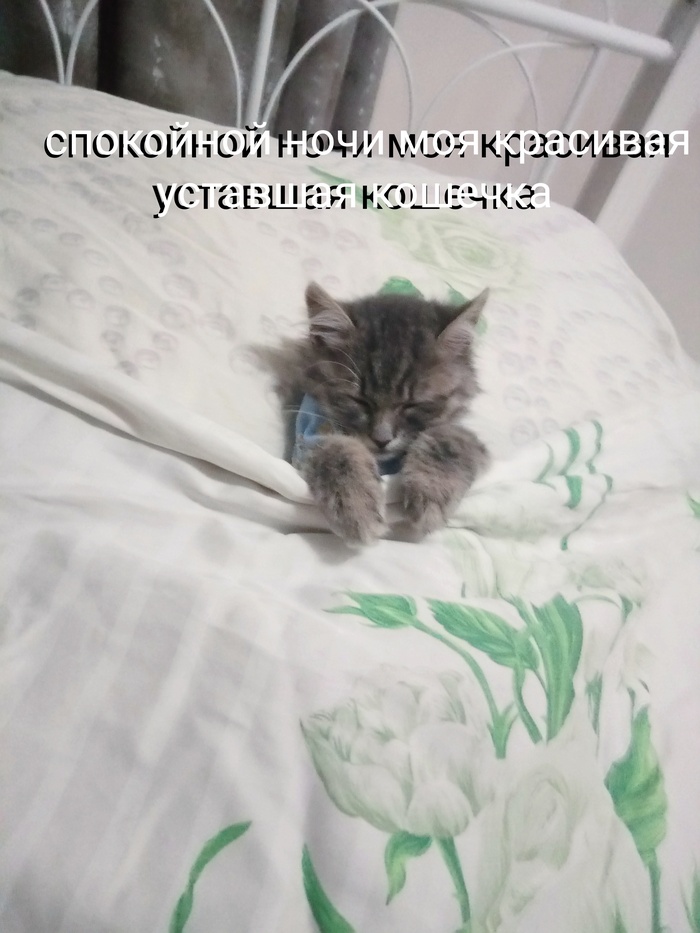 Продолжение поста «После скучненьких уроков полагается поспать»