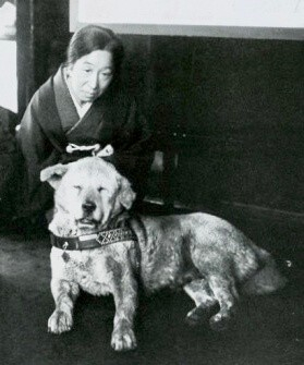<!--noindex--><a href="https://pikabu.ru/story/vernost_khatiko_14455947?u=https%3A%2F%2Fvickiandhachi.com%2Fmy-trip-to-tokyo-seeking-hachiko%2F&t=https%3A%2F%2Fvickiandhachi.com%2Fmy-trip-to-tokyo-seeking-hachiko%2F&h=45e5f25986642cfbfcf8250ecd7951fdfebedbe6" title="https://vickiandhachi.com/my-trip-to-tokyo-seeking-hachiko/" target="_blank" rel="nofollow noopener">https://vickiandhachi.com/my-trip-to-tokyo-seeking-hachiko/</a><!--/noindex-->