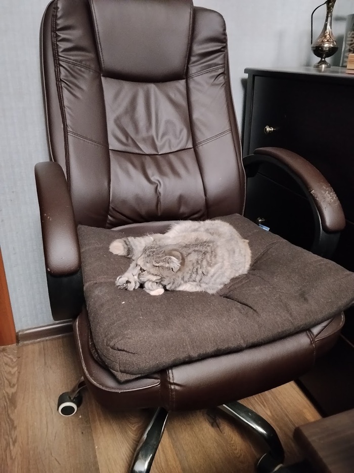 ������ � �����