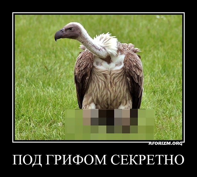 ���� ������� �� ��� ��� �� ����