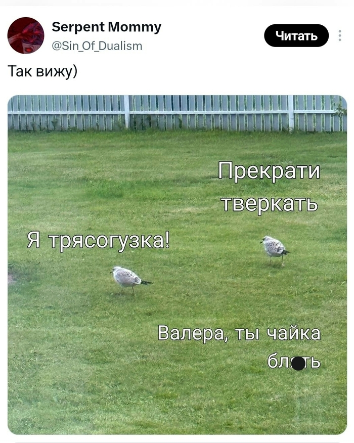 Кьяаа, кьяаа!