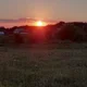 ����� ����� ������ ���� �����������