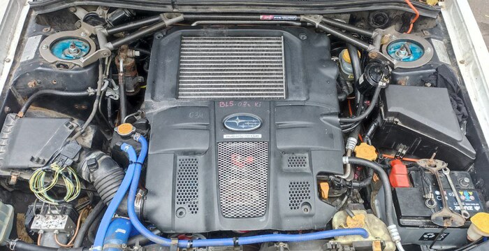 ������ ����� �������