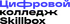 Логотип школы Цифрофой колледж Skillbox