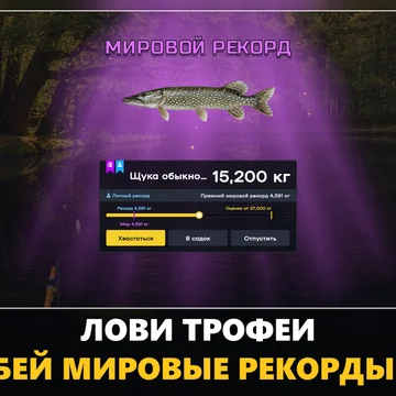 Рыбалка с тысячами игроков онлайн: более 270 видов рыб, 39 водоёмов от льда до тропиков, поплавок, донка и спиннинг. Лови трофеи, бей рекорды и захватывай водоёмы вместе с гильдией. (скриншот 4)