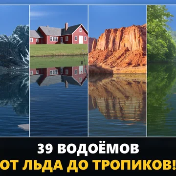 Рыбалка с тысячами игроков онлайн: более 270 видов рыб, 39 водоёмов от льда до тропиков, поплавок, донка и спиннинг. Лови трофеи, бей рекорды и захватывай водоёмы вместе с гильдией. (скриншот 8)